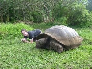 Galapagos Giant Tortoise