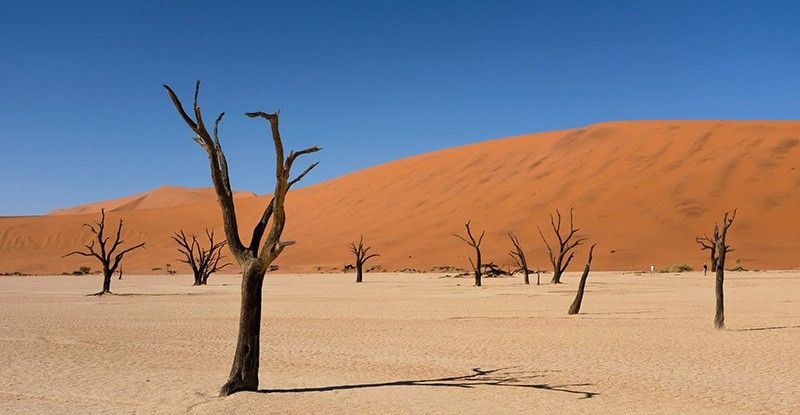 Photo3 Deadvlei Sossusvleu Dunes Namibiajpg