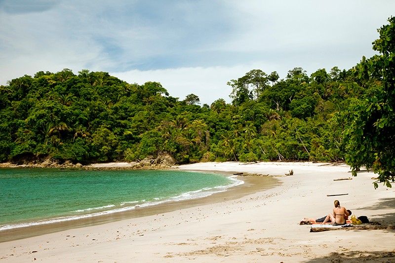 Manuel Antonio National Park Parador Hotel Costa Rica Llama Travel