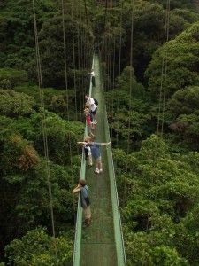 Cloud forest sky walk