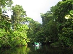 Tortuguero