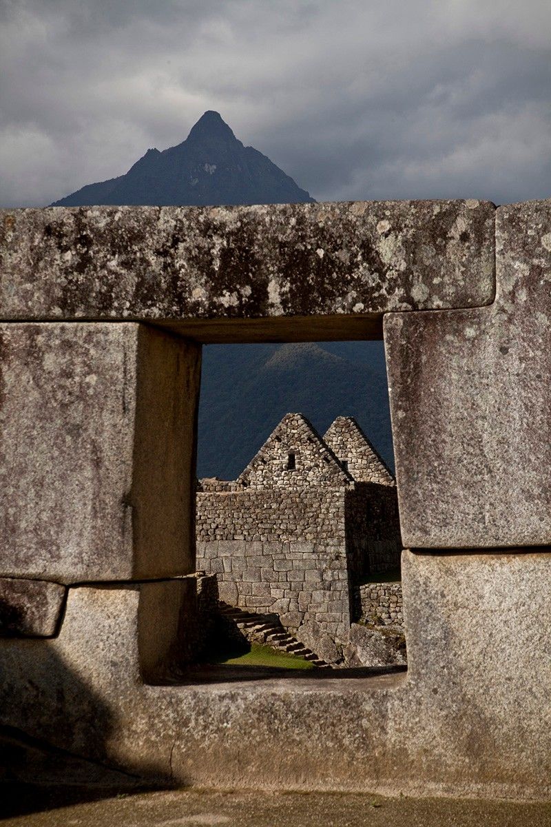 Machu Picchu Llama Travel