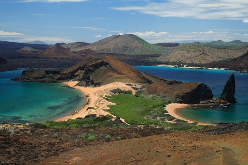Bartolome Galapagos Llama Travel