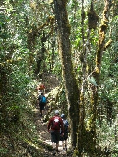 Day 4 Salkantay Trail Peru Llama Travel